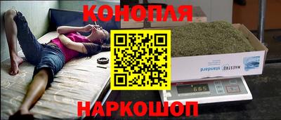 прущие грибы Партизанск