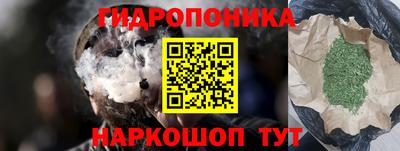прущие грибы Партизанск