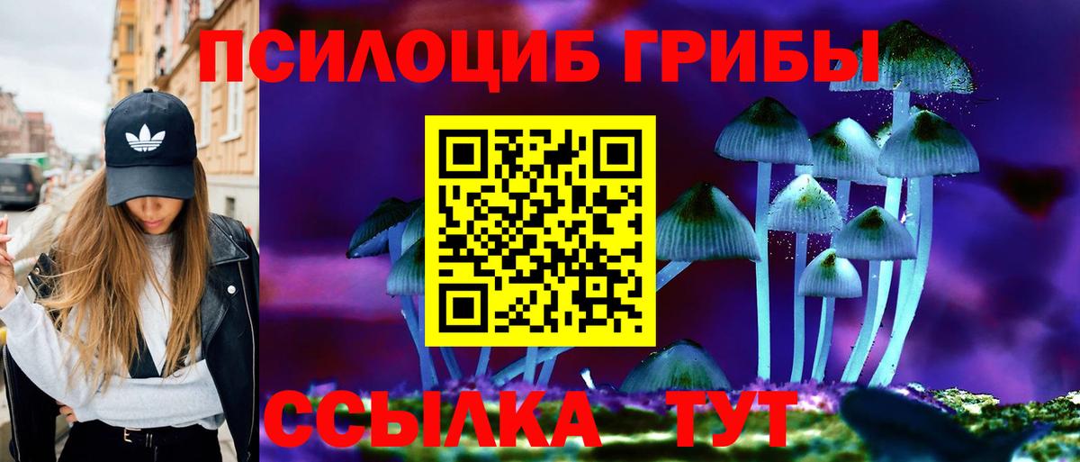 Ржев  Галлюциногенные грибы MAGIC MUSHROOMS  Вход с VPN  Псилоцибиновые грибы прущие грибы 